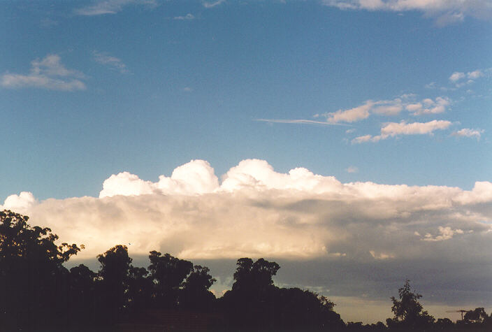 cumulus congestus : Oakhurst, NSW   26 August 1995