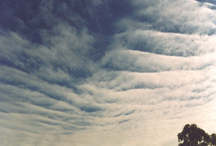 altocumulus undulatus : Oakhurst, NSW   24 September 1995