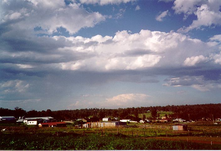 cumulus mediocris : Schofields, NSW   1 October 1995