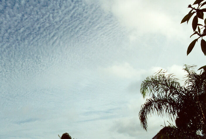 cirrocumulus cirrocumulus_cloud : Ballina, NSW   22 October 1995