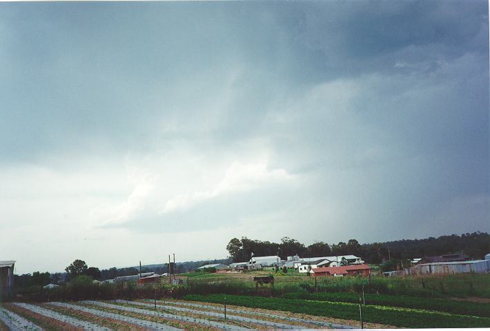 cumulonimbus thunderstorm_base : Schofields, NSW   28 October 1995