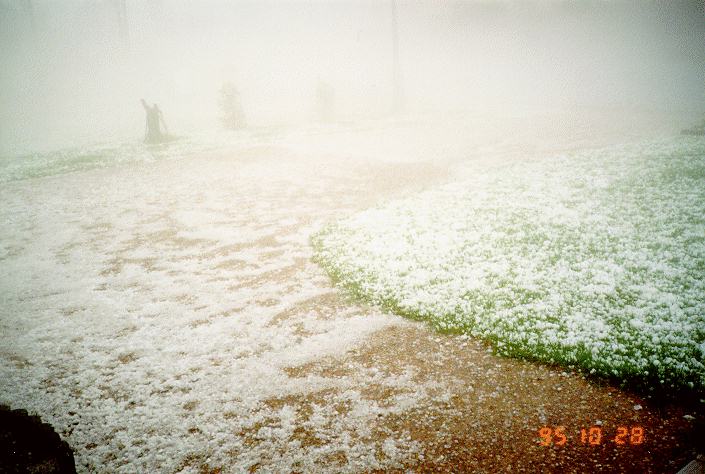 contributions received : Bonnyrigg, NSW<BR>Photo by Bert Garcia   28 October 1995