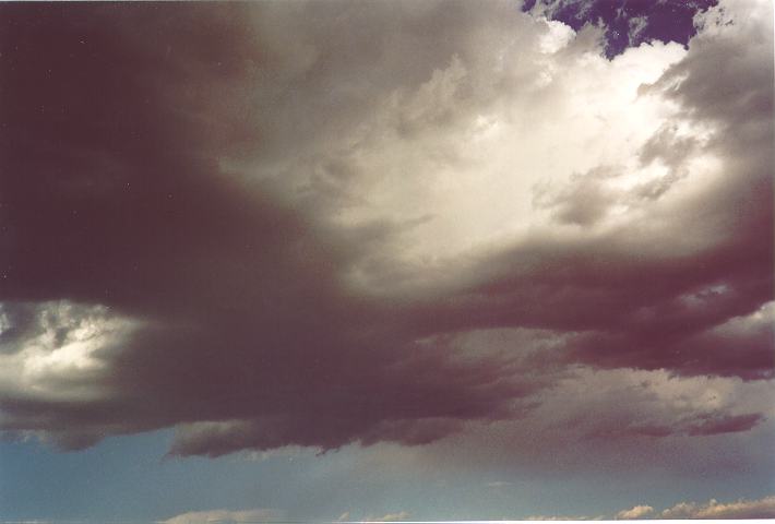 cumulus congestus : Schofields, NSW   5 November 1995