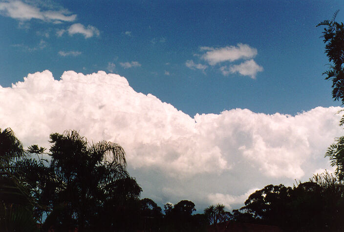 cumulus congestus : Oakhurst, NSW   5 November 1995