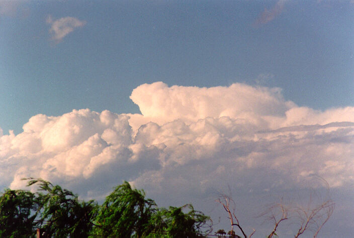 cumulus congestus : Schofields, NSW   5 November 1995