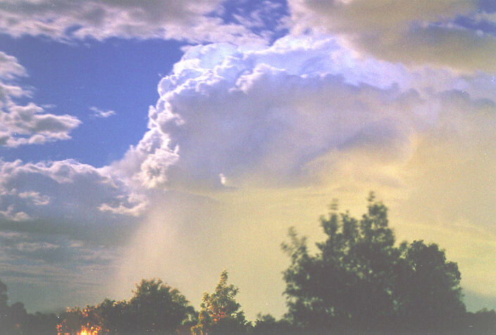 cumulus congestus : Oakhurst, NSW   5 November 1995