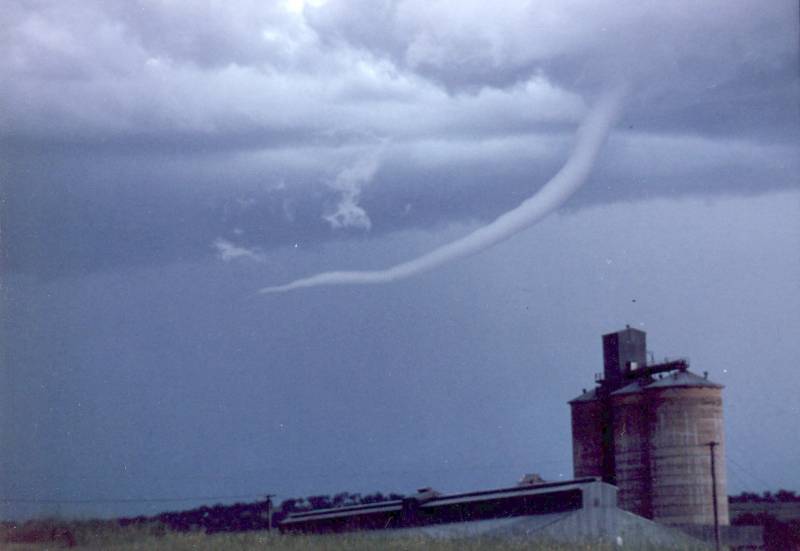 contributions received : Merriwa, NSW<BR>Photo by Mike Hadfield   5 November 1995