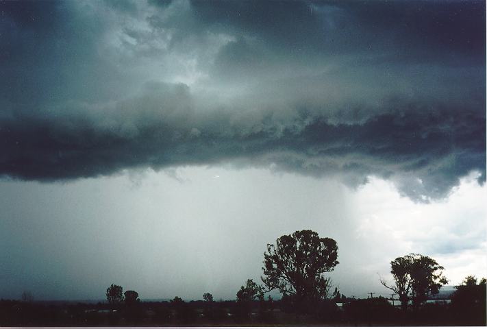 shelfcloud shelf_cloud : Luddenham, NSW   18 November 1995