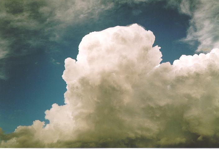 pileus pileus_cap_cloud : Castlereagh, NSW   18 November 1995