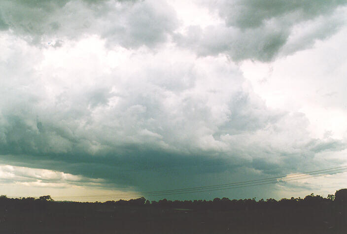 thunderstorm cumulonimbus_calvus : Castlereagh, NSW   18 November 1995