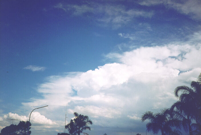 thunderstorm cumulonimbus_incus : Oakhurst, NSW   18 November 1995