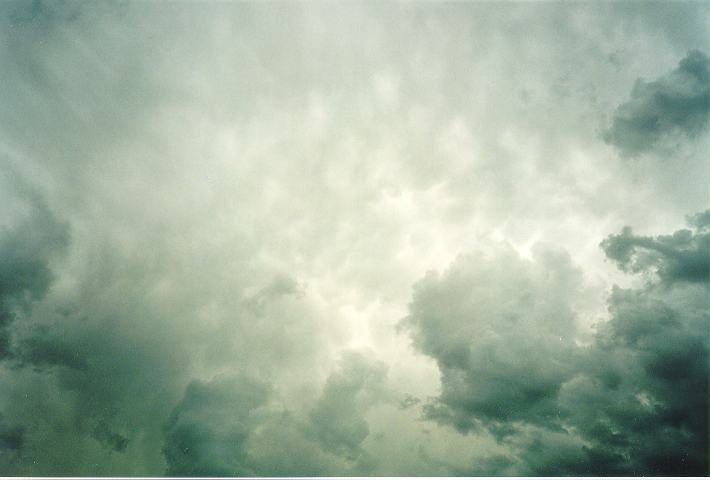 mammatus mammatus_cloud : Rooty Hill, NSW   28 November 1995