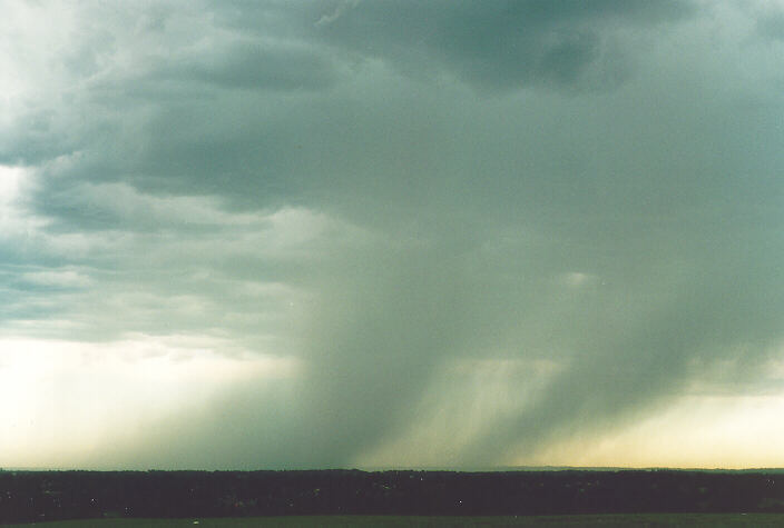 raincascade precipitation_cascade : Rooty Hill, NSW   28 November 1995