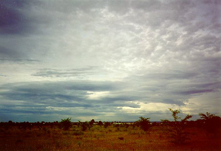 altocumulus castellanus : McGraths Hill, NSW   30 November 1995