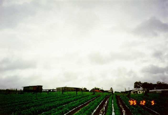 stratus stratus_cloud : Schofields, NSW   5 December 1995