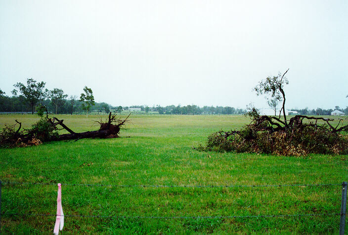 disasters storm_damage : Maitland, NSW   10 December 1995