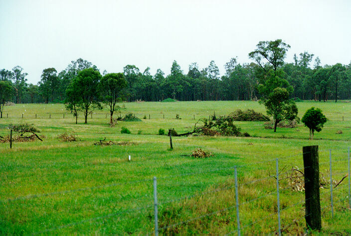 disasters storm_damage : Maitland, NSW   10 December 1995