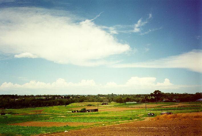 cirrus cirrus_cloud : Schofields, NSW   18 December 1995