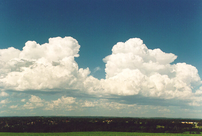 cumulus congestus : Rooty Hill, NSW   18 December 1995