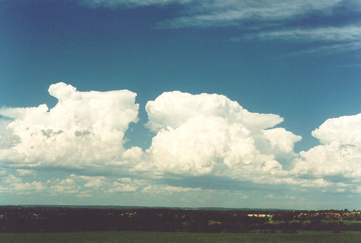 thunderstorm cumulonimbus_calvus : Rooty Hill, NSW   18 December 1995