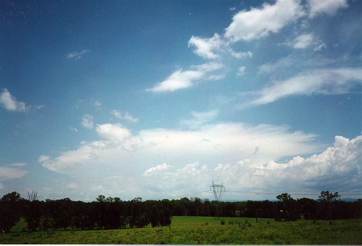 cumulus congestus : Erskine Park, NSW   27 December 1995