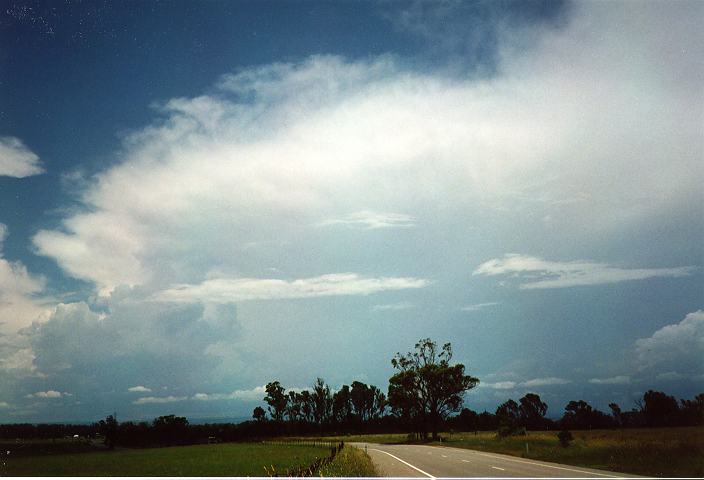 cumulus congestus : Erskine Park, NSW   27 December 1995