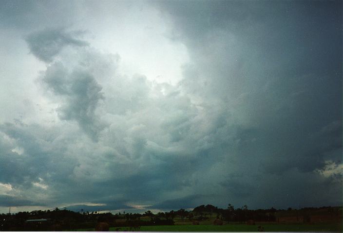 stratocumulus lenticularis : Camden, NSW   27 December 1995