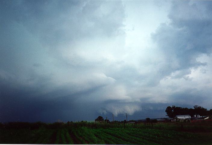 shelfcloud shelf_cloud : Schofields, NSW   19 January 1996