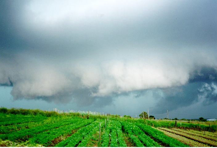 cumulonimbus thunderstorm_base : Schofields, NSW   19 January 1996