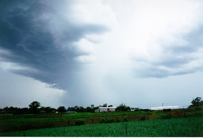 cumulonimbus thunderstorm_base : Schofields, NSW   20 January 1996