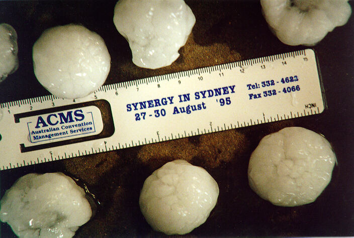 hailstones hail_stones : Horsley Park, NSW   5 February 1996