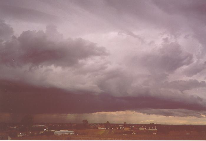 cumulonimbus thunderstorm_base : Schofields, NSW   11 April 1996