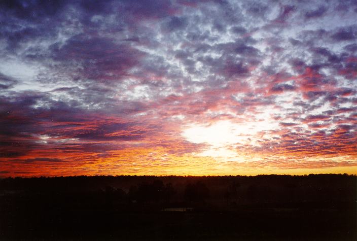 altocumulus altocumulus_cloud : Schofields, NSW   6 June 1996