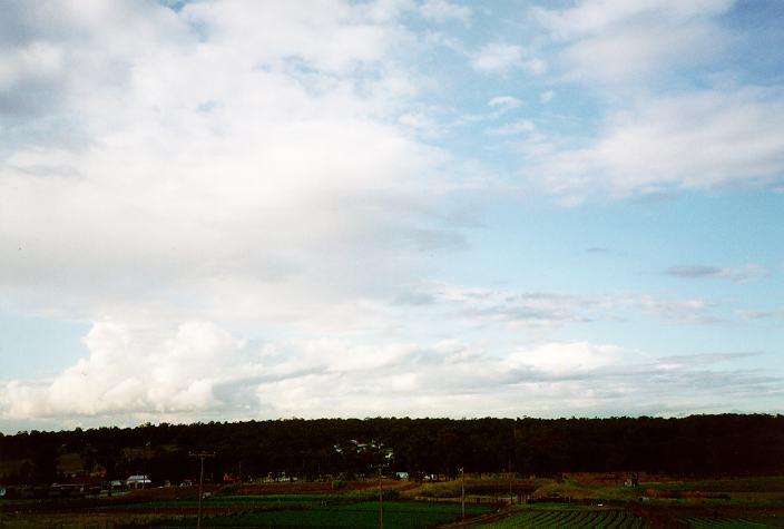 thunderstorm cumulonimbus_calvus : Schofields, NSW   14 June 1996