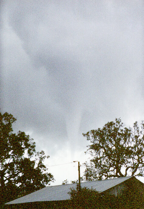 contributions received : Bundella, NSW<BR>Photo by Mrs Davidson   29 September 1996