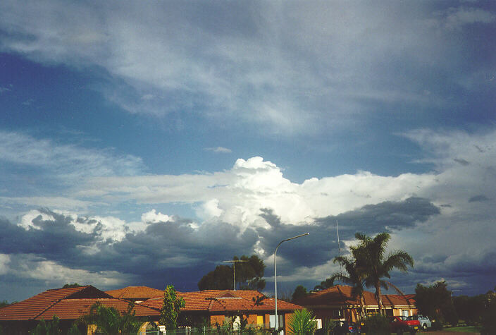 cumulus congestus : Oakhurst, NSW   29 September 1996