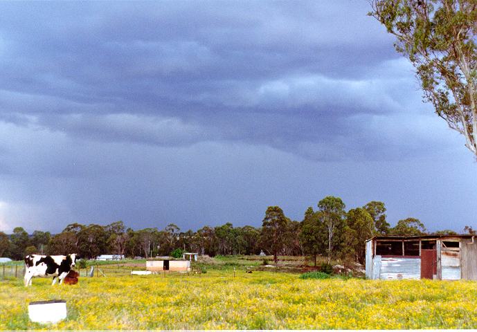 cumulonimbus thunderstorm_base : Schofields, NSW   30 September 1996