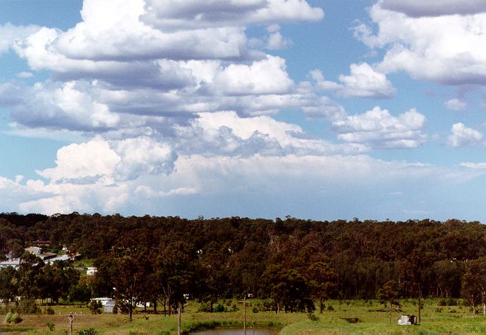 cumulus mediocris : Schofields, NSW   9 November 1996