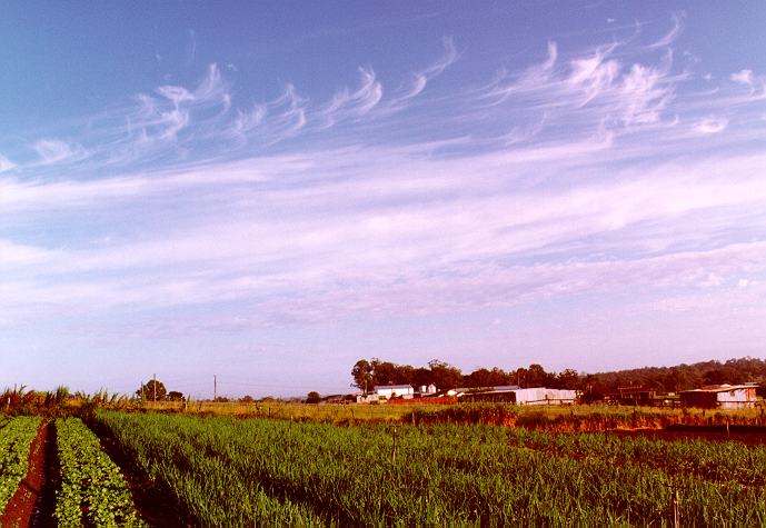 cirrus cirrus_cloud : Schofields, NSW   15 November 1996