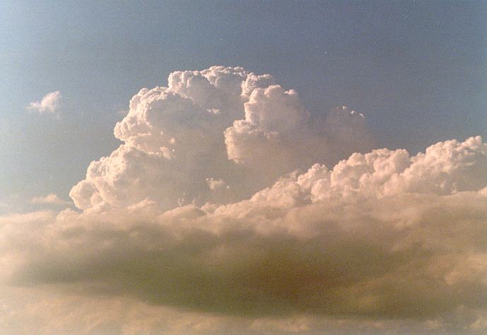 stratocumulus stratocumulus_cloud : Freemans Reach, NSW   4 December 1996