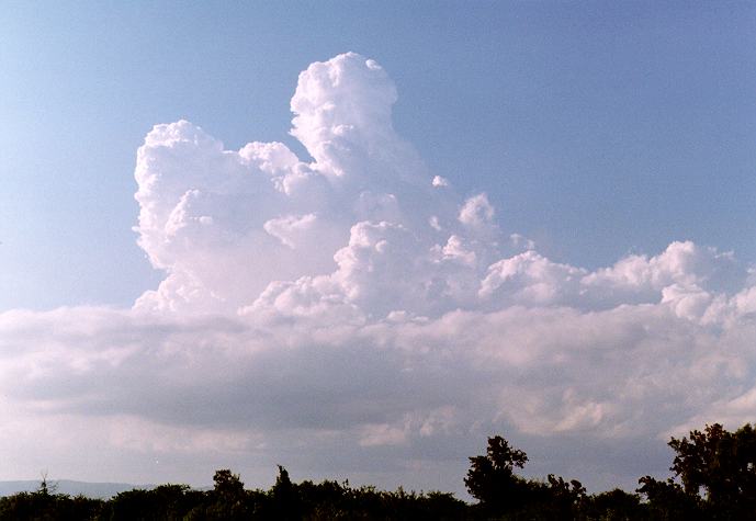 thunderstorm cumulonimbus_calvus : Freemans Reach, NSW   4 December 1996