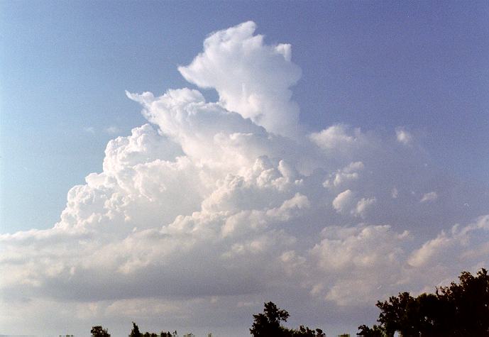 thunderstorm cumulonimbus_calvus : Freemans Reach, NSW   4 December 1996