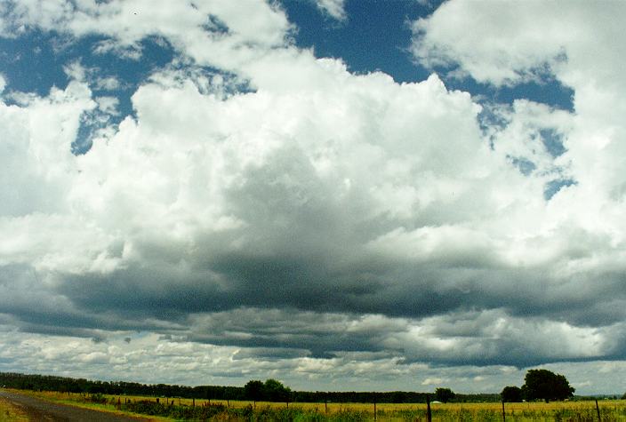 thunderstorm cumulonimbus_calvus : Richmond, NSW   7 December 1996