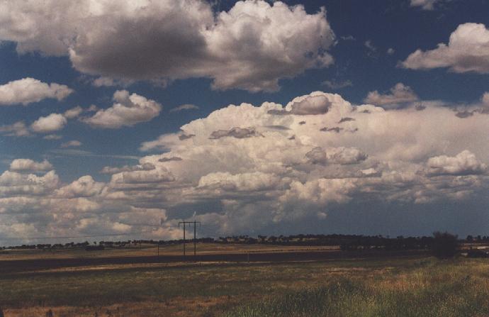 contributions received : Illawarra Tablelands, NSW<BR>Photo by Michael Thompson   11 December 1996