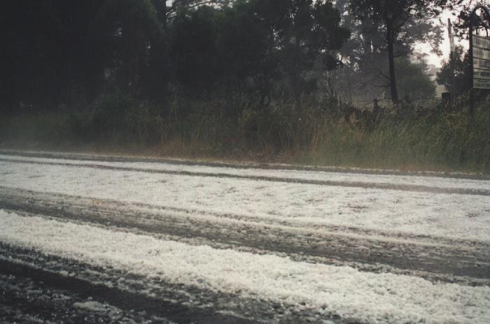 contributions received : Illawarra Tablelands, NSW<BR>Photo by Michael Thompson   11 December 1996