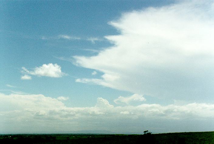 anvil thunderstorm_anvils : Parrots Nest, NSW   29 December 1996