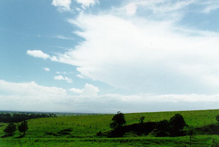 cumulus congestus : Parrots Nest, NSW   29 December 1996