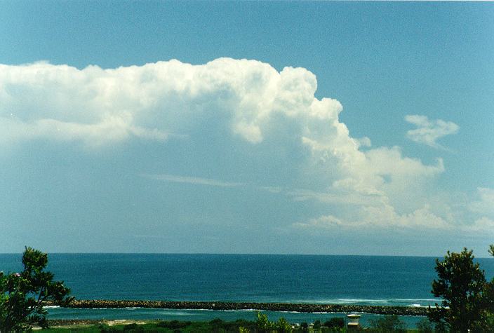 thunderstorm cumulonimbus_incus : Ballina, NSW   31 December 1996