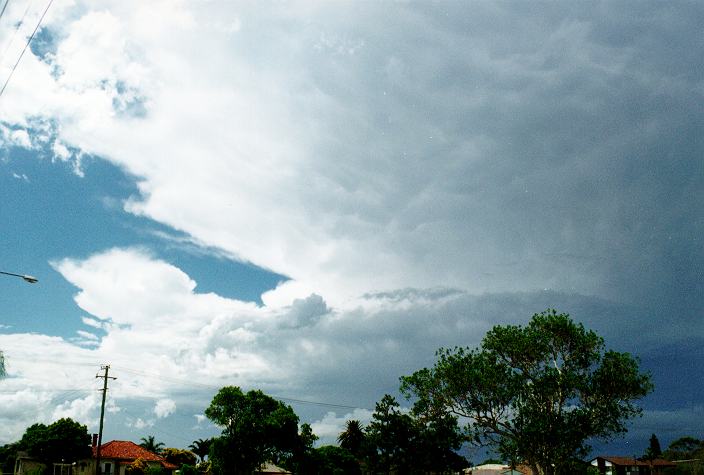 thunderstorm cumulonimbus_incus : Ballina, NSW   31 December 1996