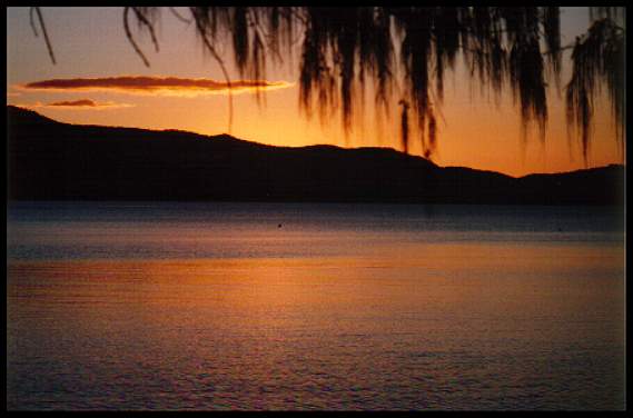 contributions received : Long Island, QLD<BR>Photo by Jeff Truscott   1 January 1997